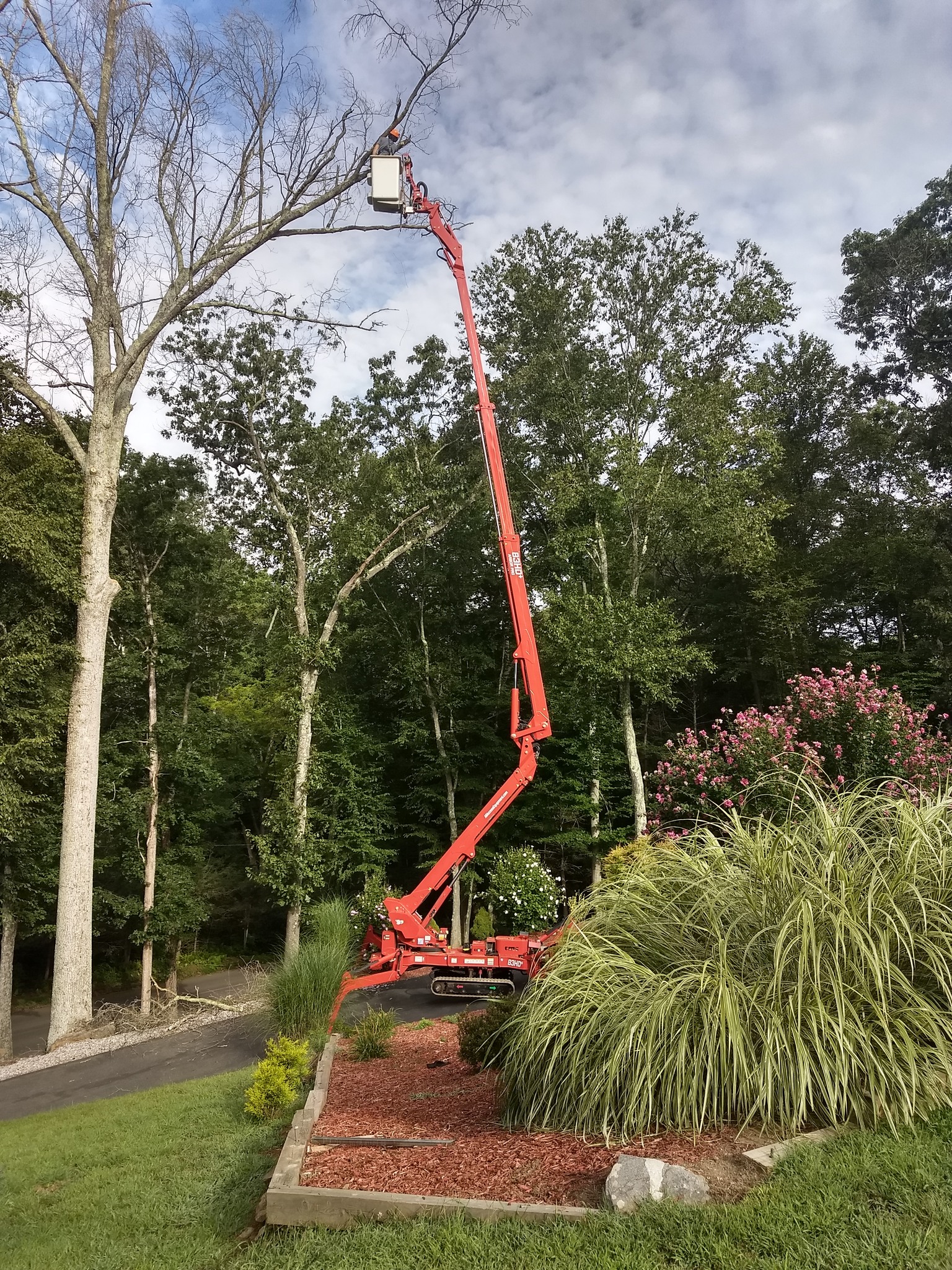 Cockaponset Tree Service | Haddam CT