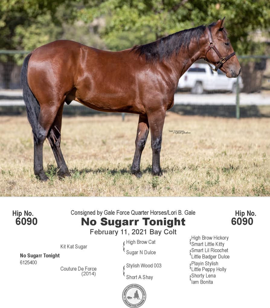Rapp Ranch - 🍭 No Sugarr Tonight 🍭 📆 Sells December 9 as... | Facebook