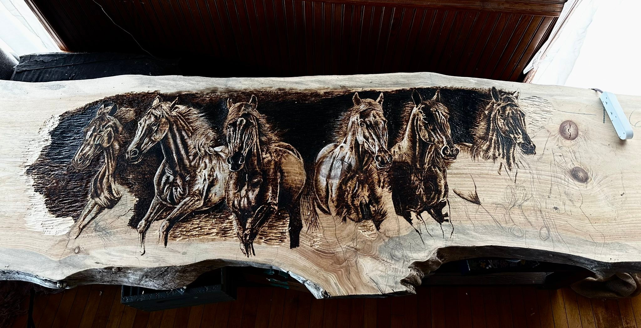 Fondy’s Finest Hi everyone! I’m Sara, and I’m a wood burning artist