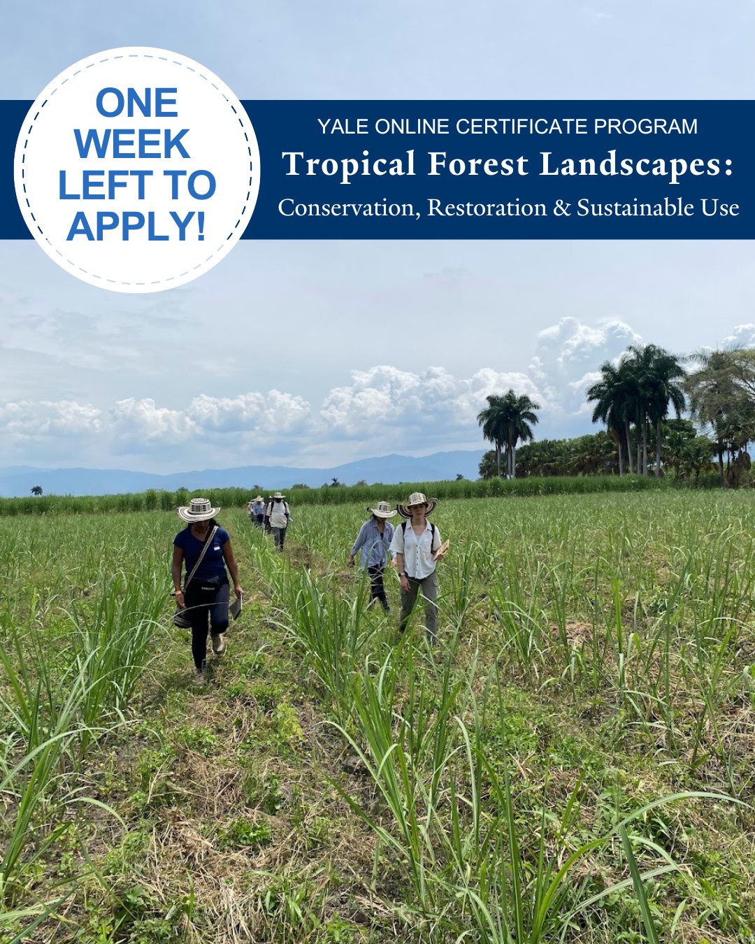 Tropical - The application deadline for the Tropical Forest Landscapes ...