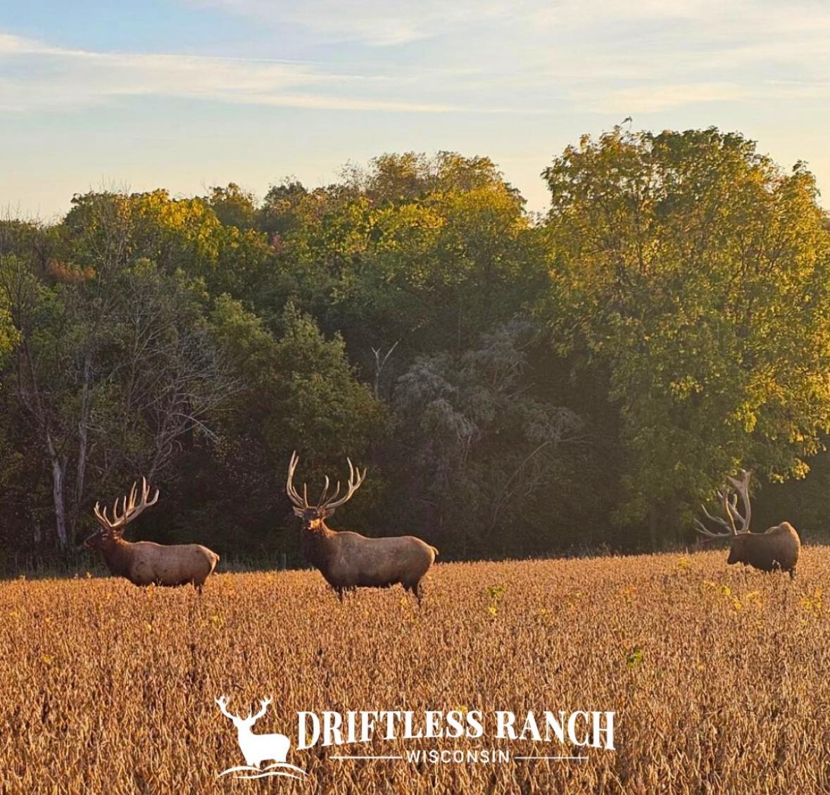 Driftless Ranch | Prairie du Chien WI