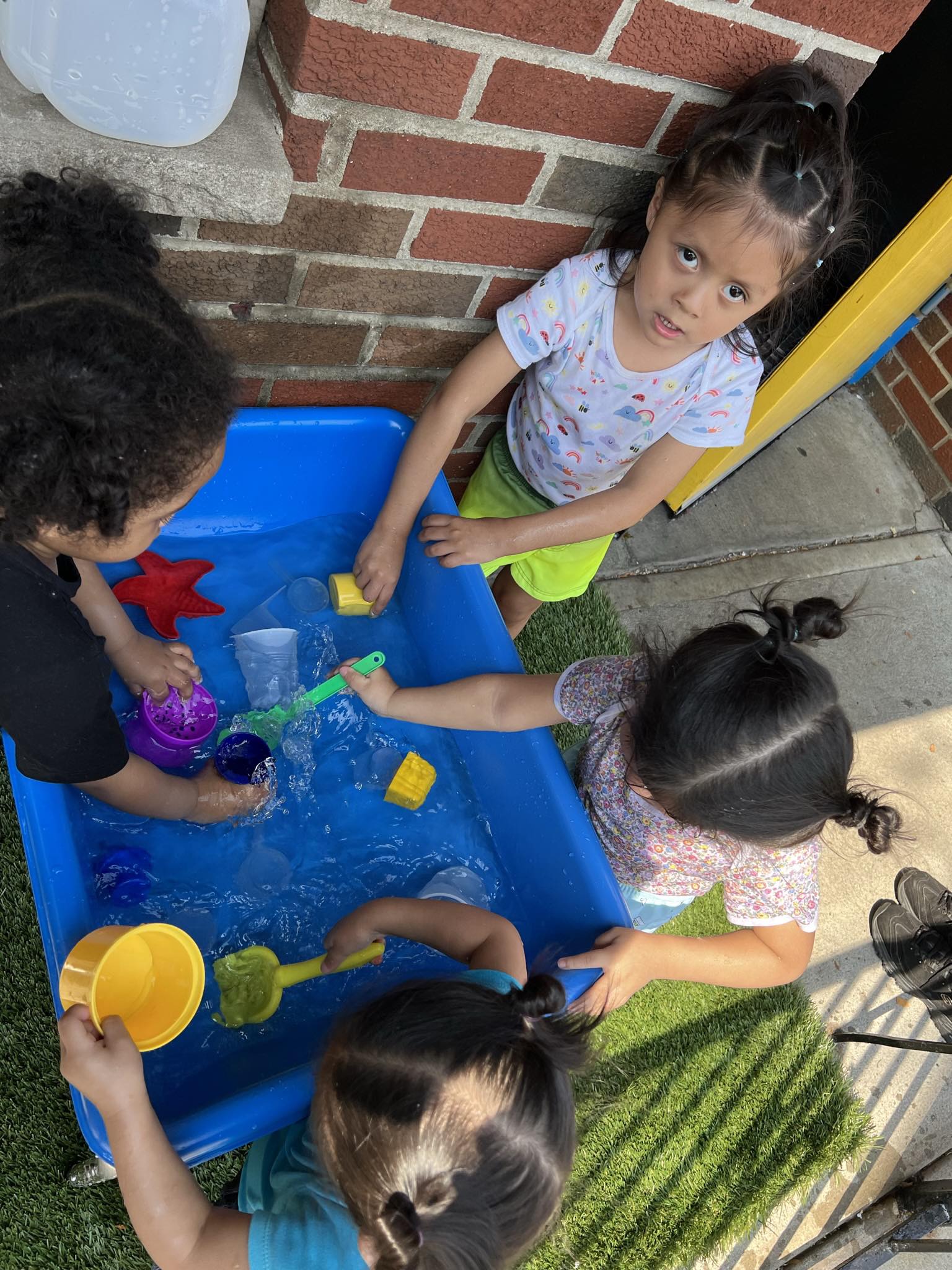 Bay Ridge Ave. Child Care Center, Inc. | Brooklyn NY