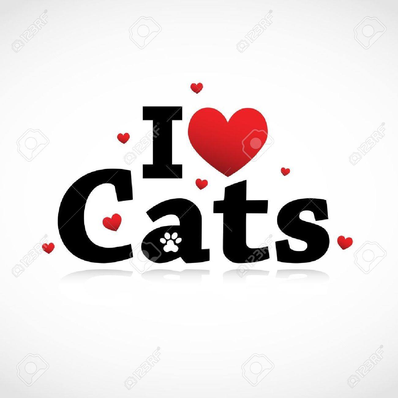 I Love Cats | Facebook