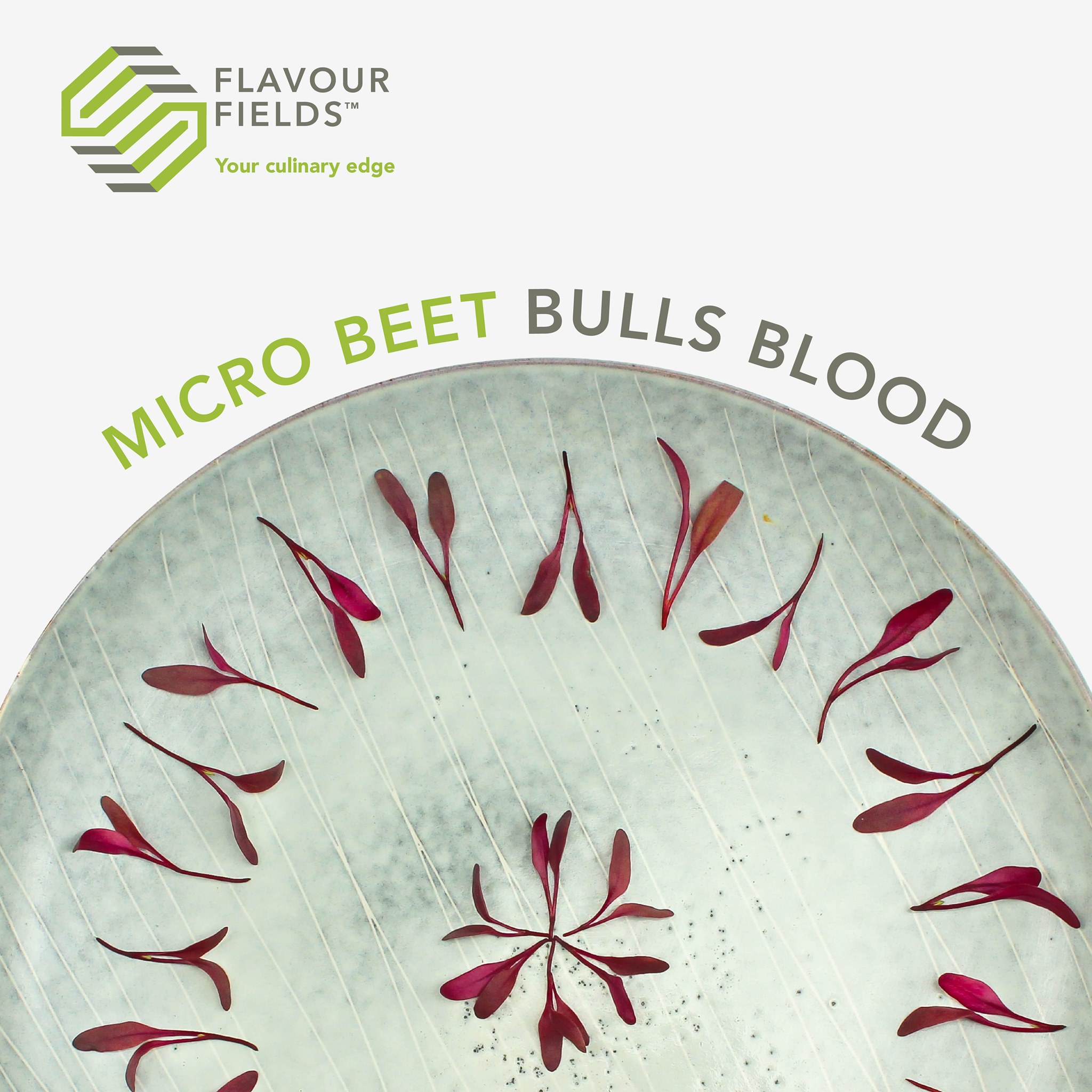 Koppert - Micro Beet Bulls Blood was one of the first microgreen ...