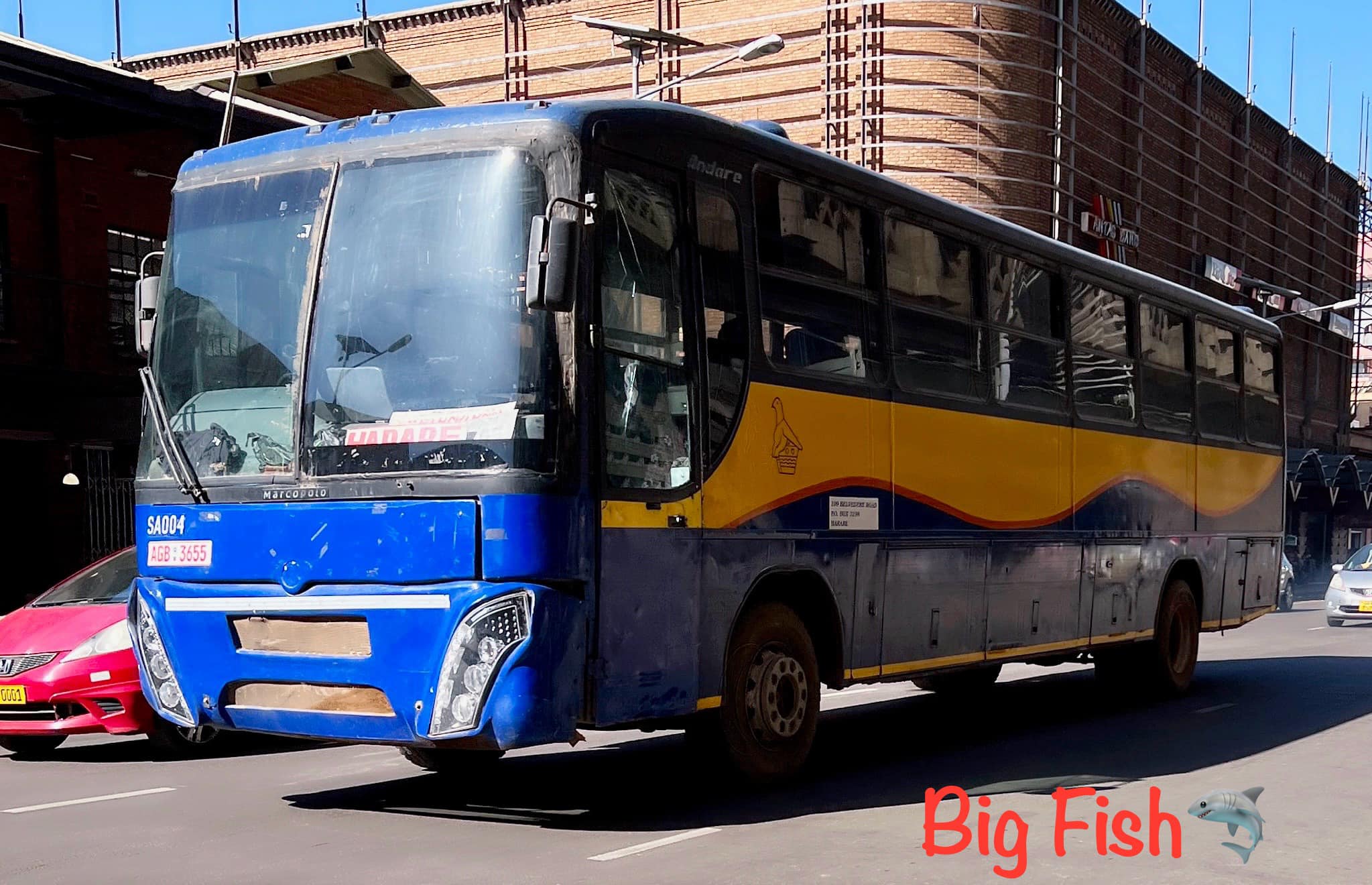 Not Daf Related Zupco- Marcopolo Andare with a Golden Dragon