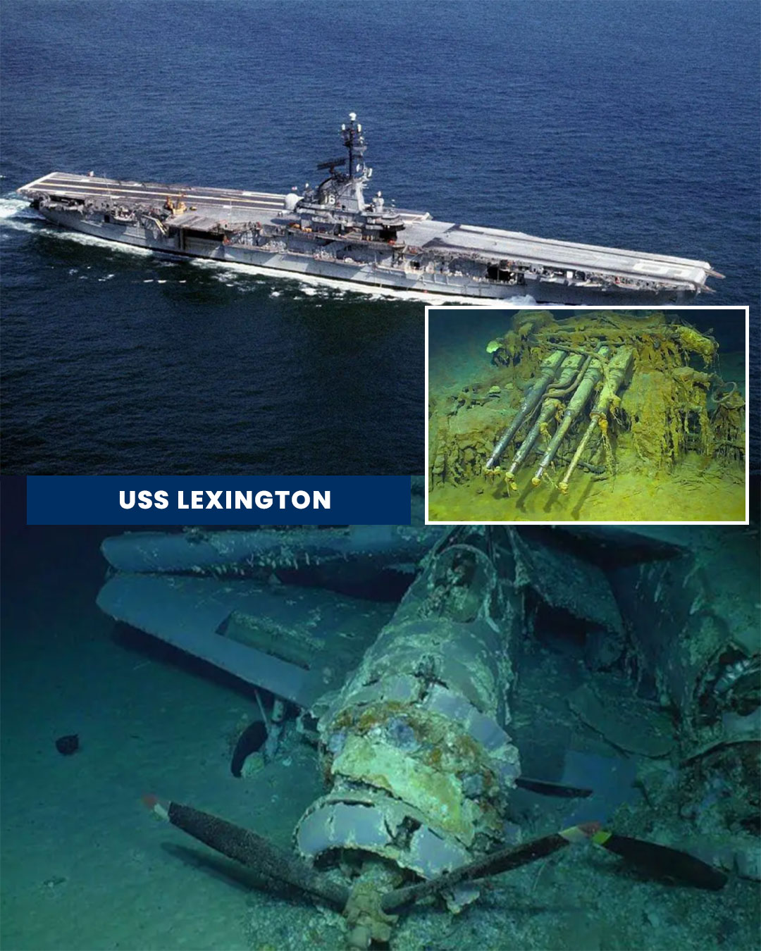 USSレキシントン 飛行甲板の破片 USSレキシントン 飛行甲板の破片 USS