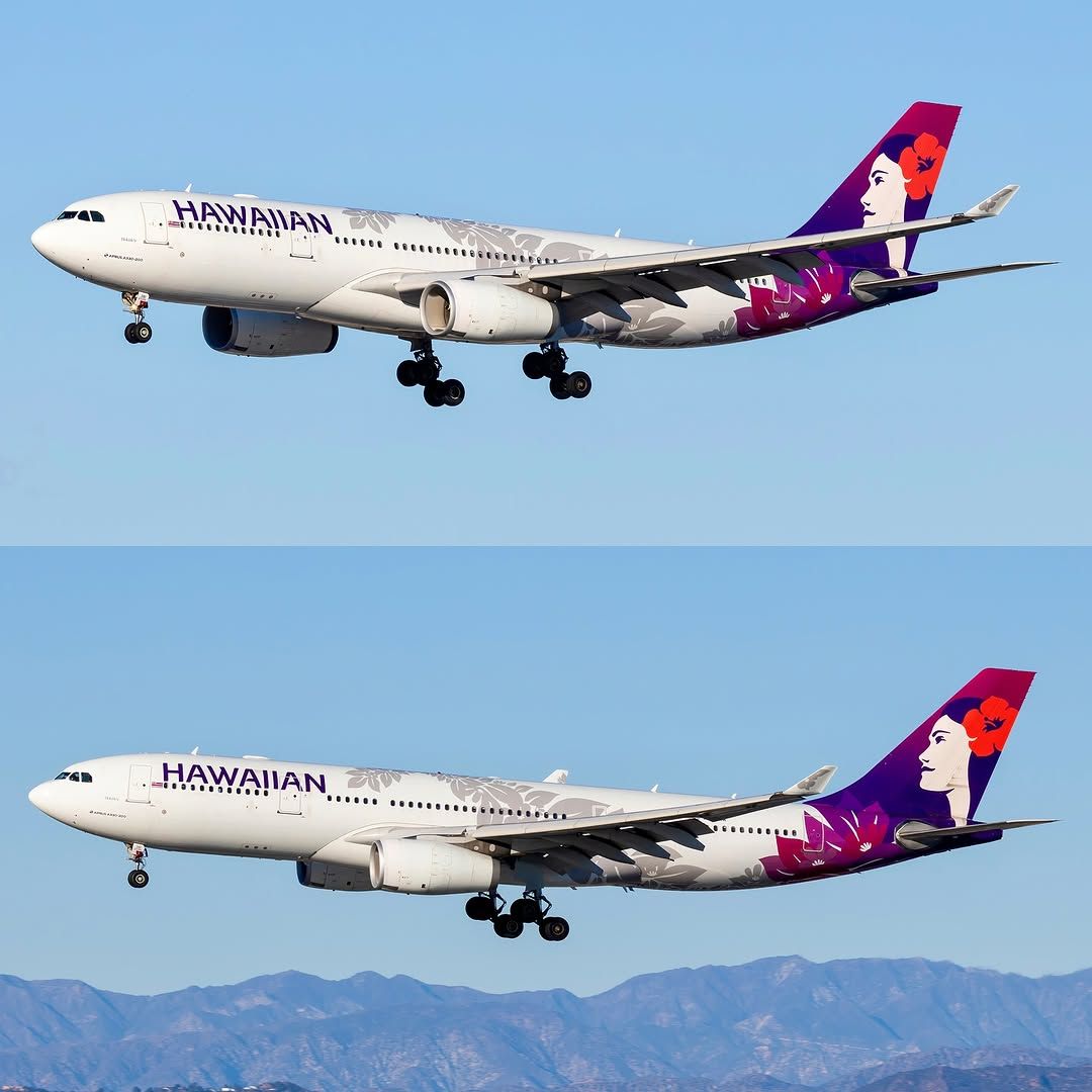 Hawaiian Airlines Airbus A330-200 details