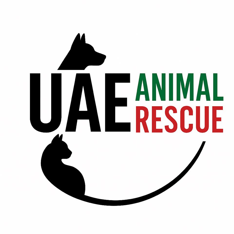 UAE Animal Rescue | Facebook