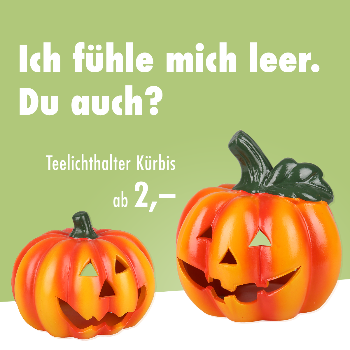 TEDi - Was würden Halloween-Kürbisse wohl sagen, wenn sie sprechen könnten? 🎃