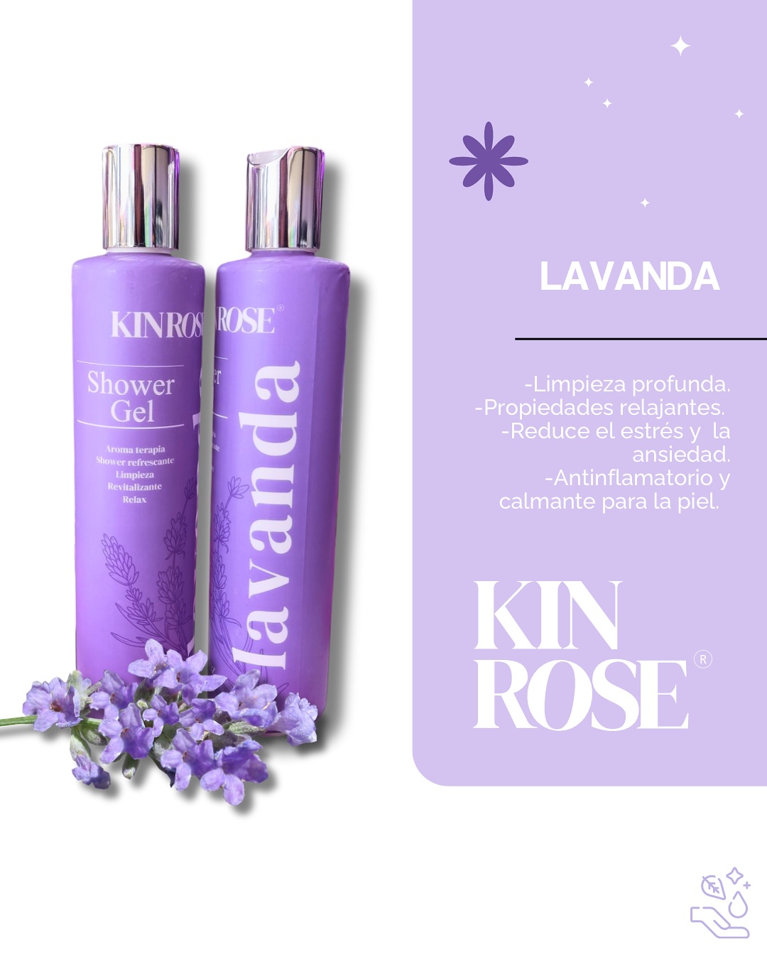 Kin Rose | San José