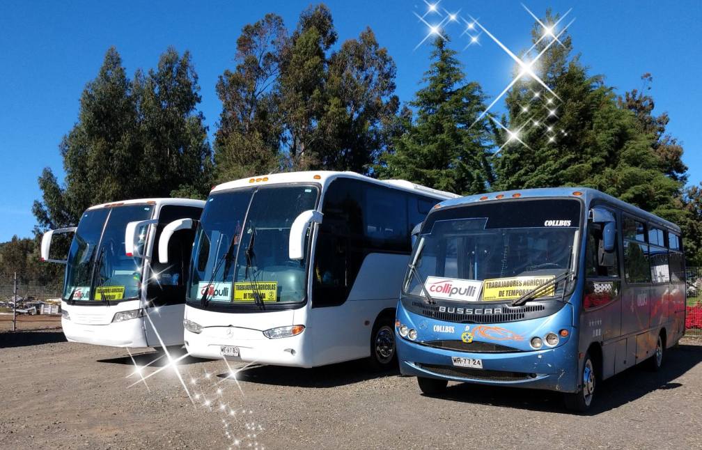 Buses Collbus