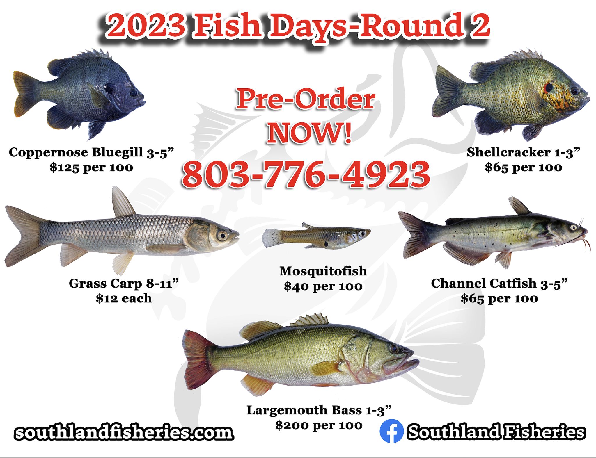 Our Summer Fish Days cycle will... - Southland Fisheries Corp | Facebook