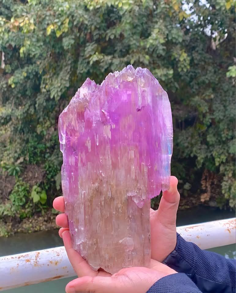 Kunzite Naturelle D'Afghanistan - 11,50 Carats - Certifiée AGI - Forme Poire