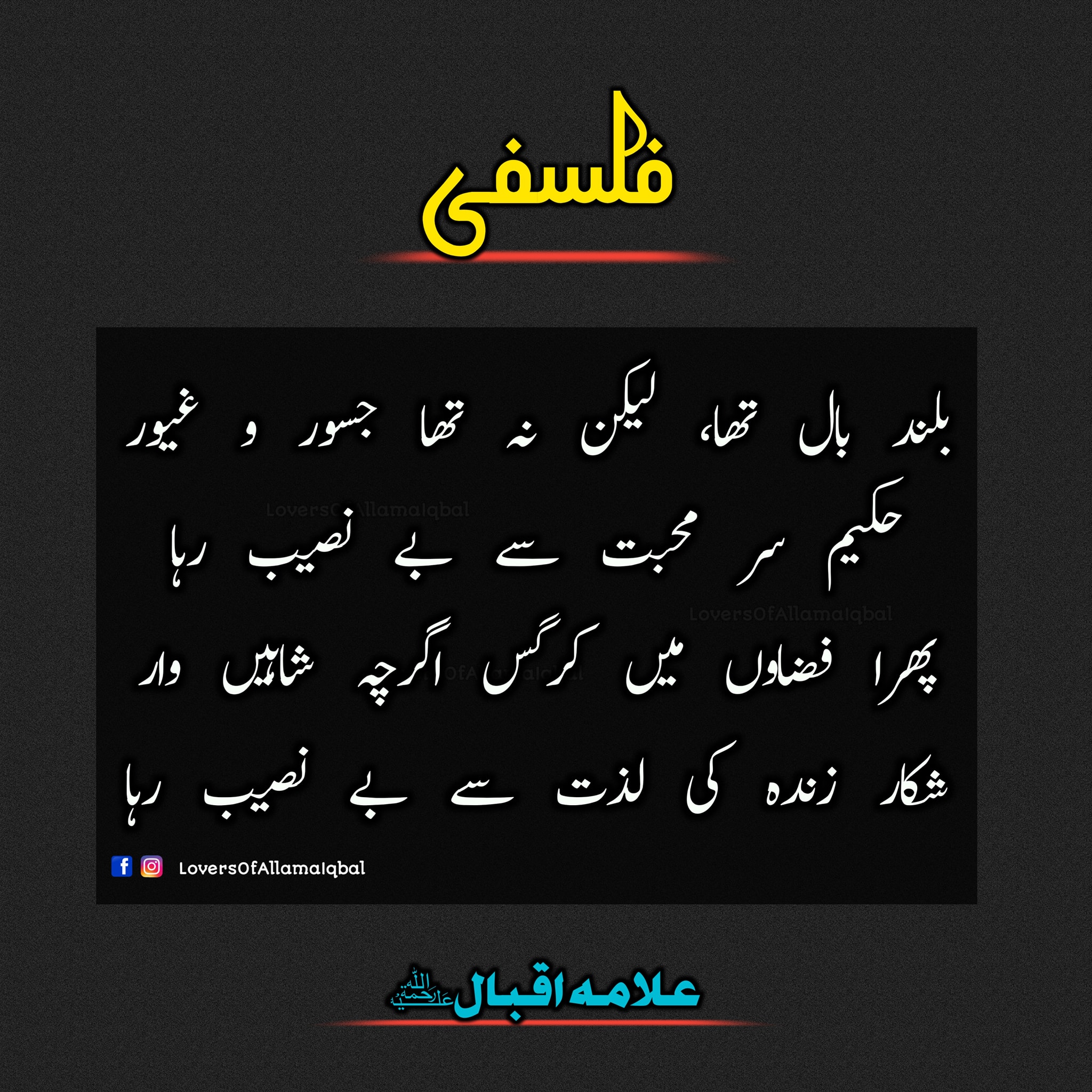 بلند بال: اونچا اڑنے والا۔ جسور و... - Lovers of Allama Iqbal