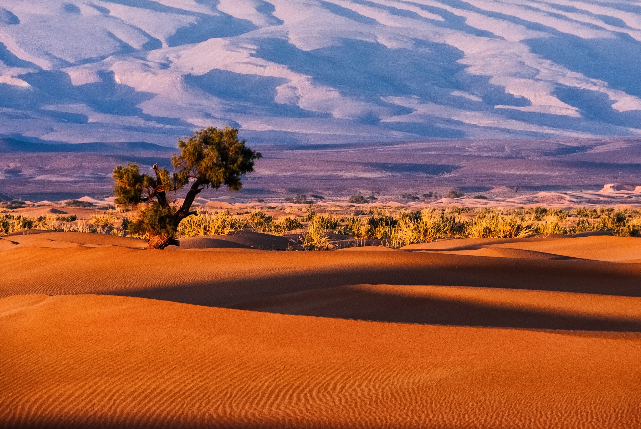 Zadium | Meknes