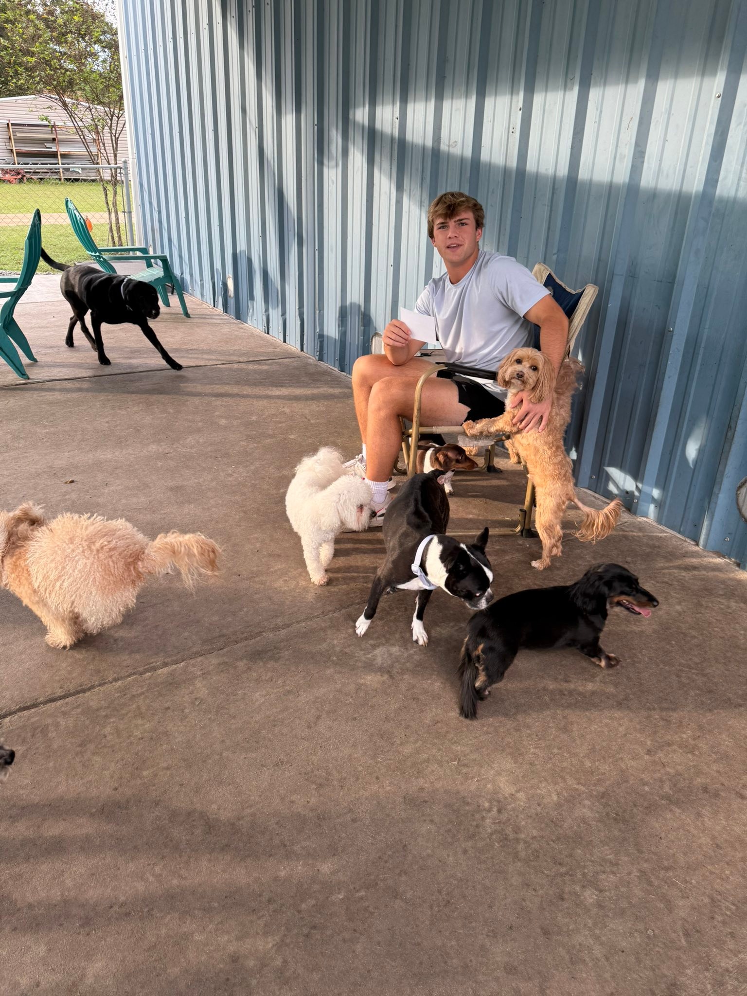Ruff Life Retreat added a new photo. - Ruff Life Retreat