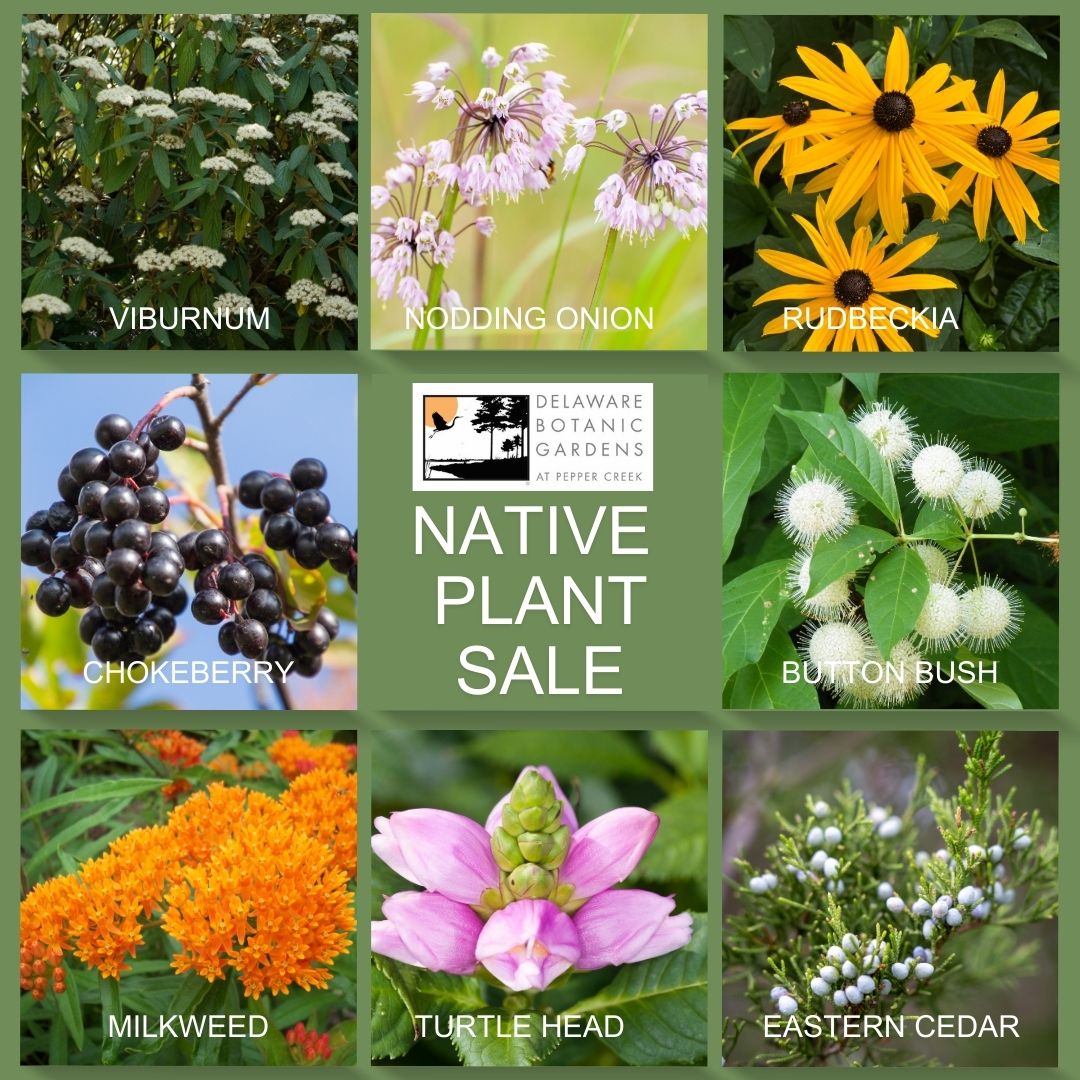 Delaware - 🌿 Spring is Here! Welcome Back to Delaware Botanic Gardens ...