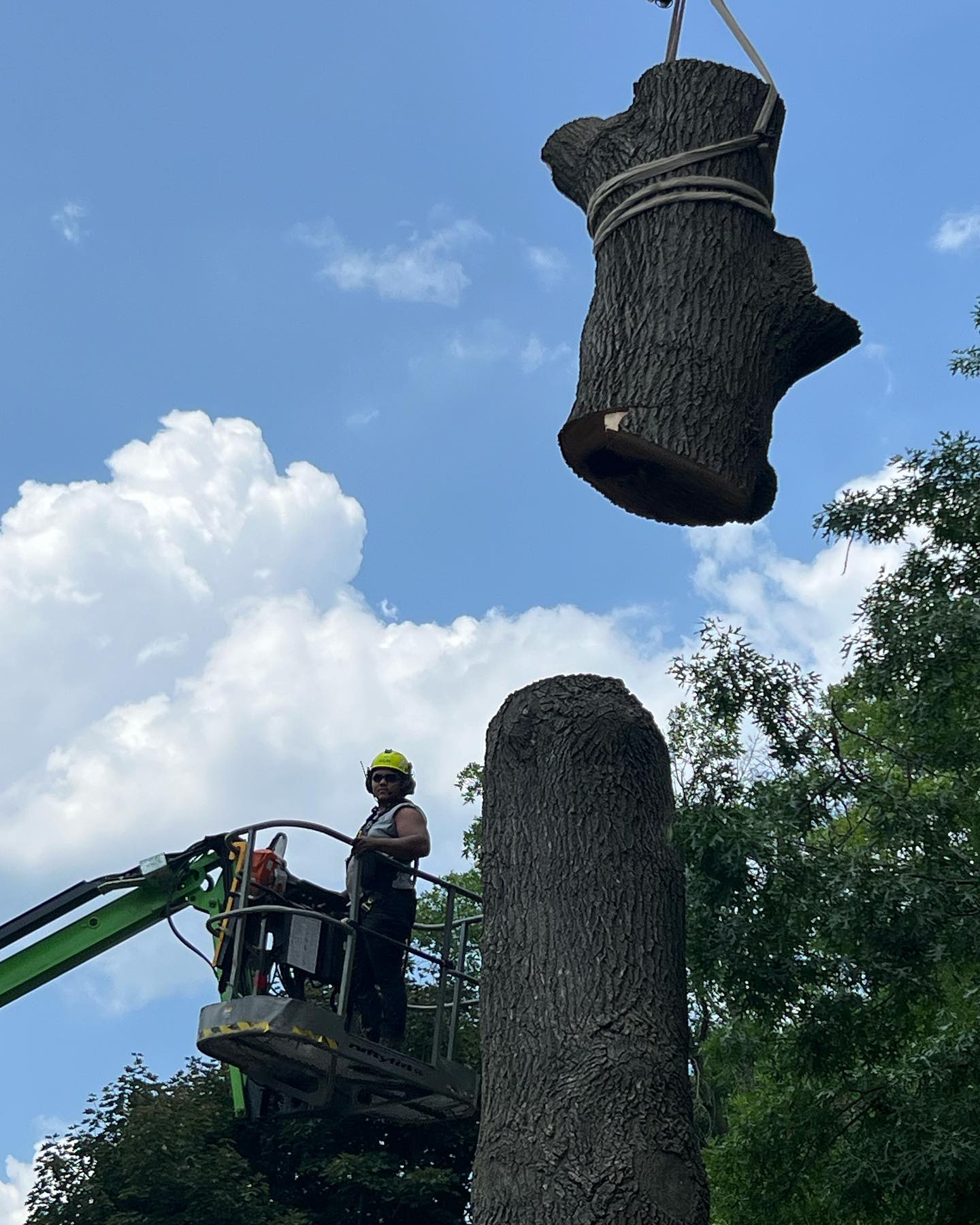 We want to wish a Happy... - Pro-Tree Outdoor Services
