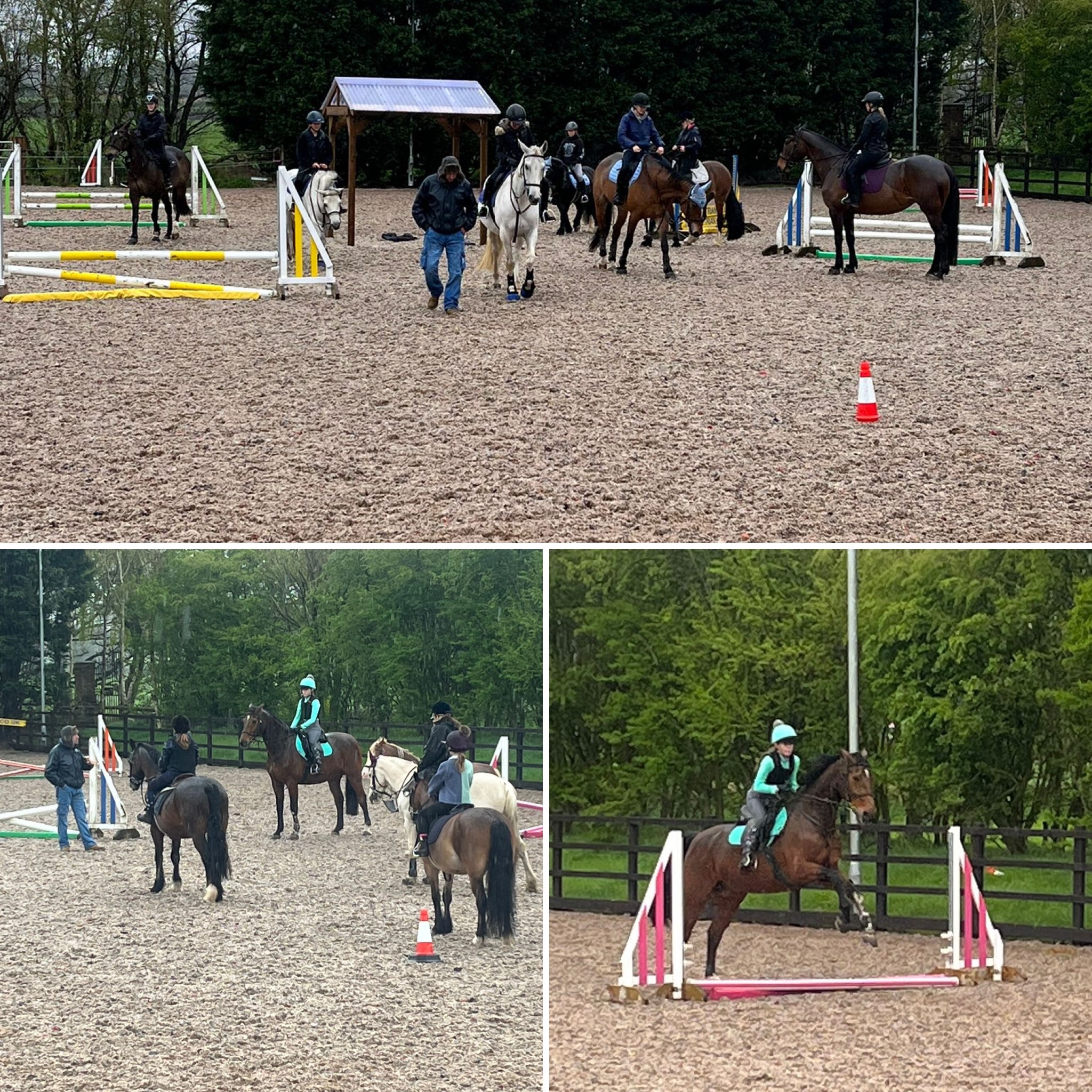 High Legh Riding... - High Legh Riding Centre 07584 823040