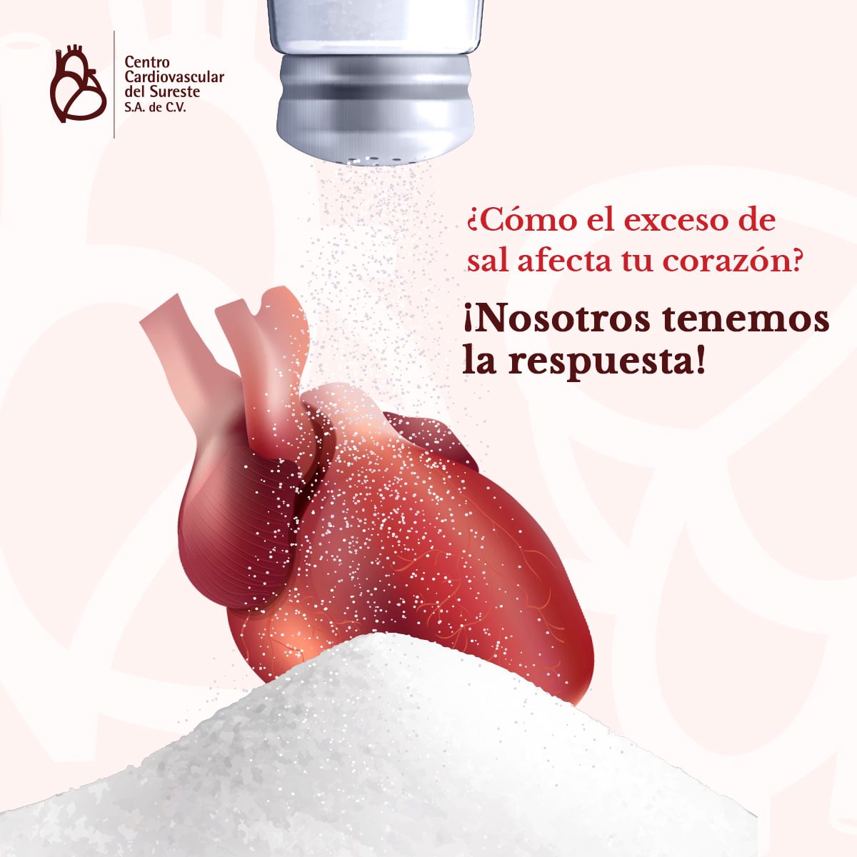 Centro - El exceso de sal en tu dieta puede aumentar el riesgo de ...
