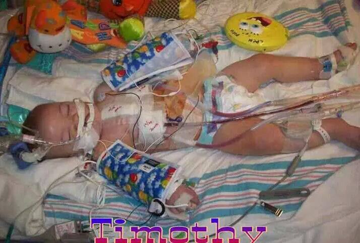 Miracle Of Timothy The Tinman - Happy six years Timothy!!! Six years ...