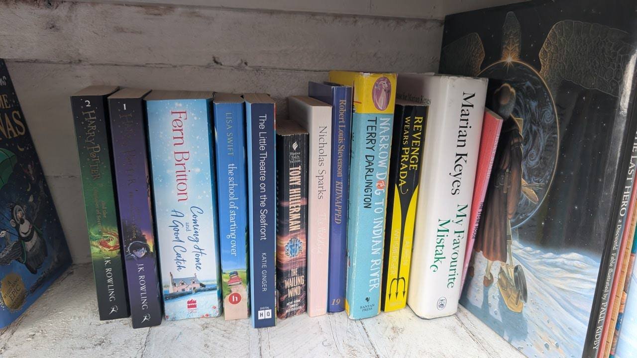 The Little Sunflower Library, Llanelli #136383 | Llanelli