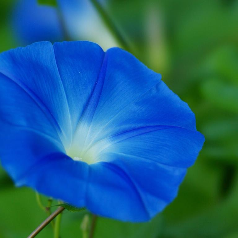 Plantsplan Home Facebook