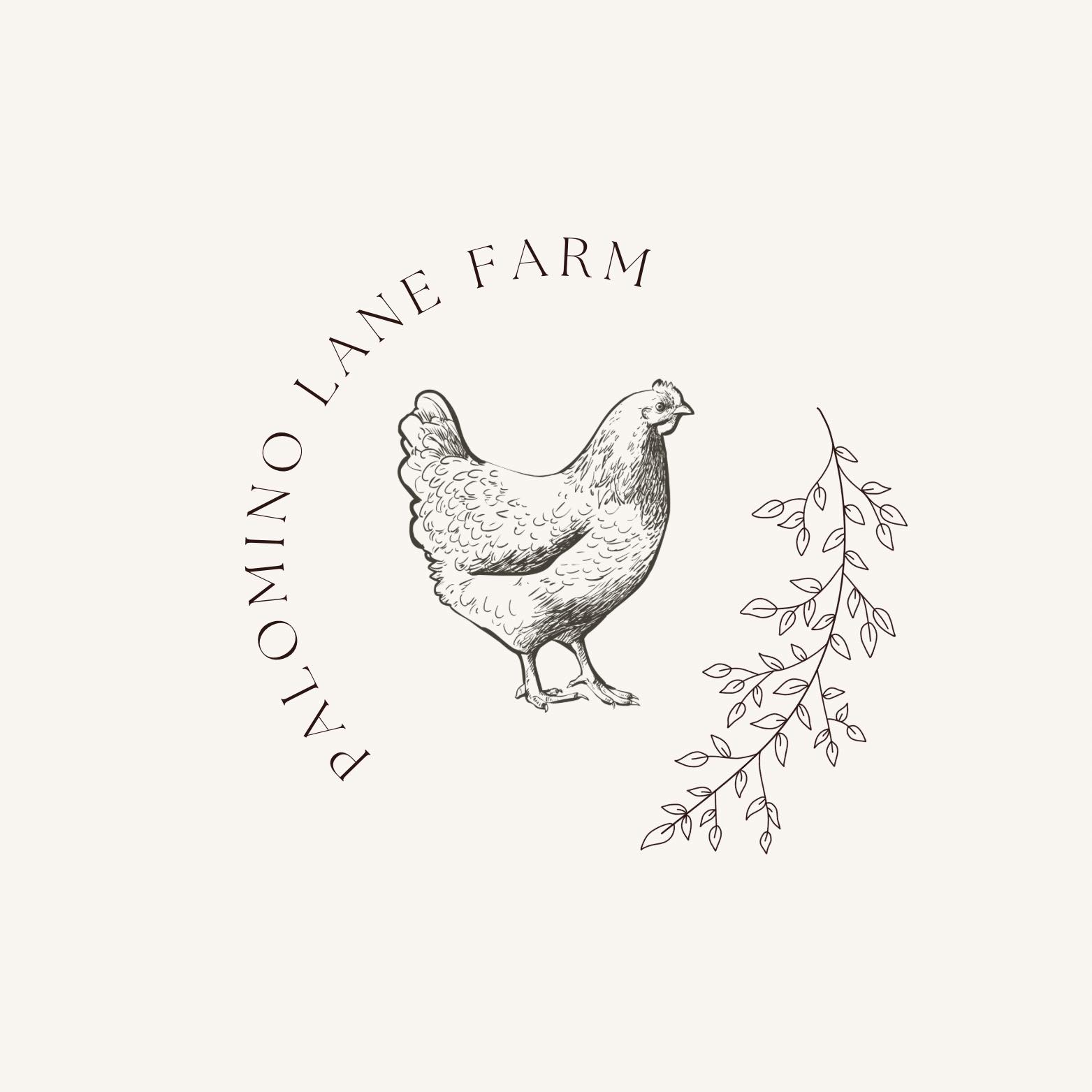 Cutest little surprise 🥹🪿🐣 | Palomino Lane Farm