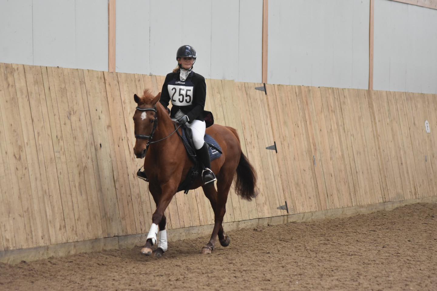 Onley Grounds Equestrian Complex | Rugby