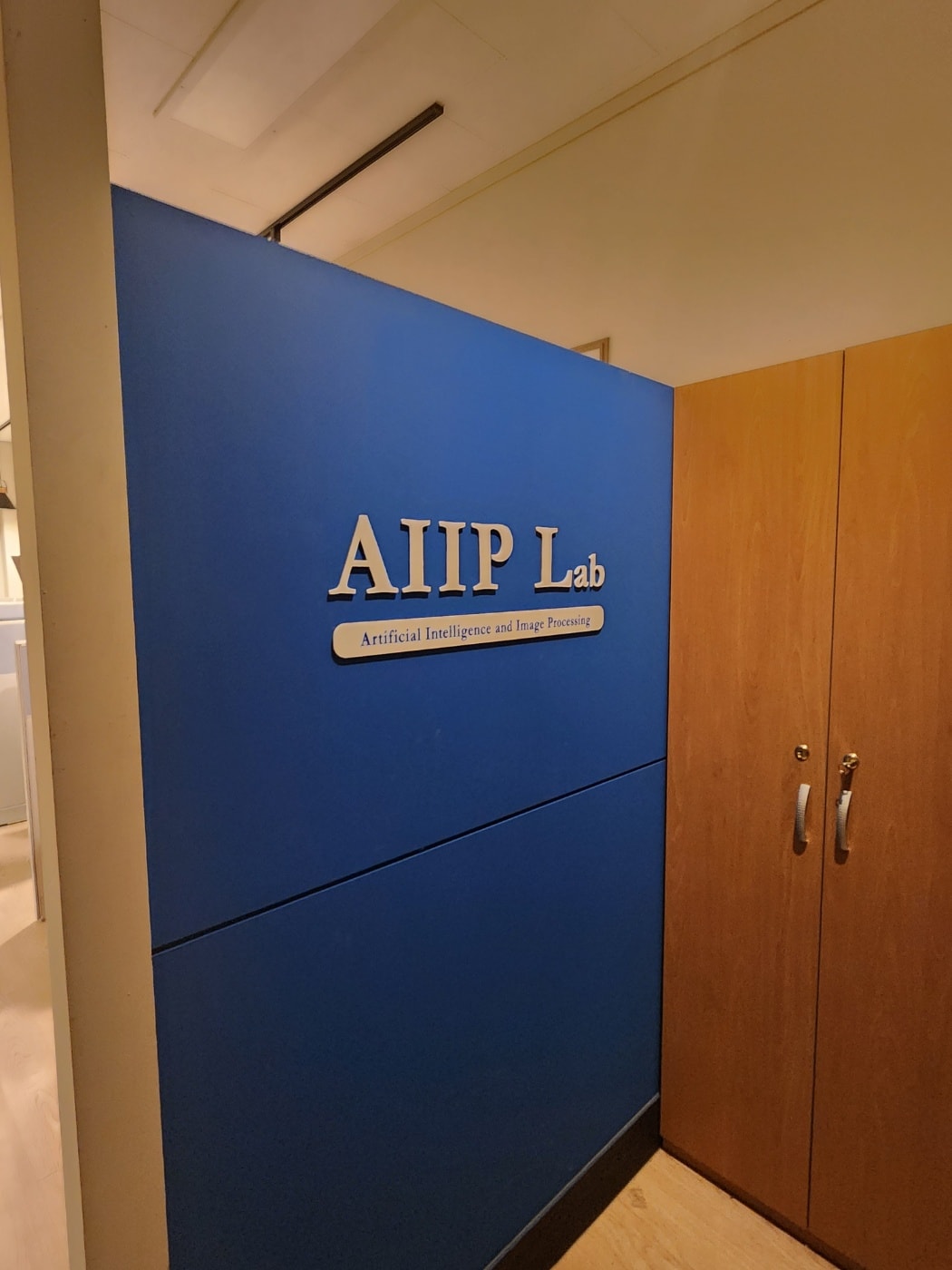 AIIP Lab
