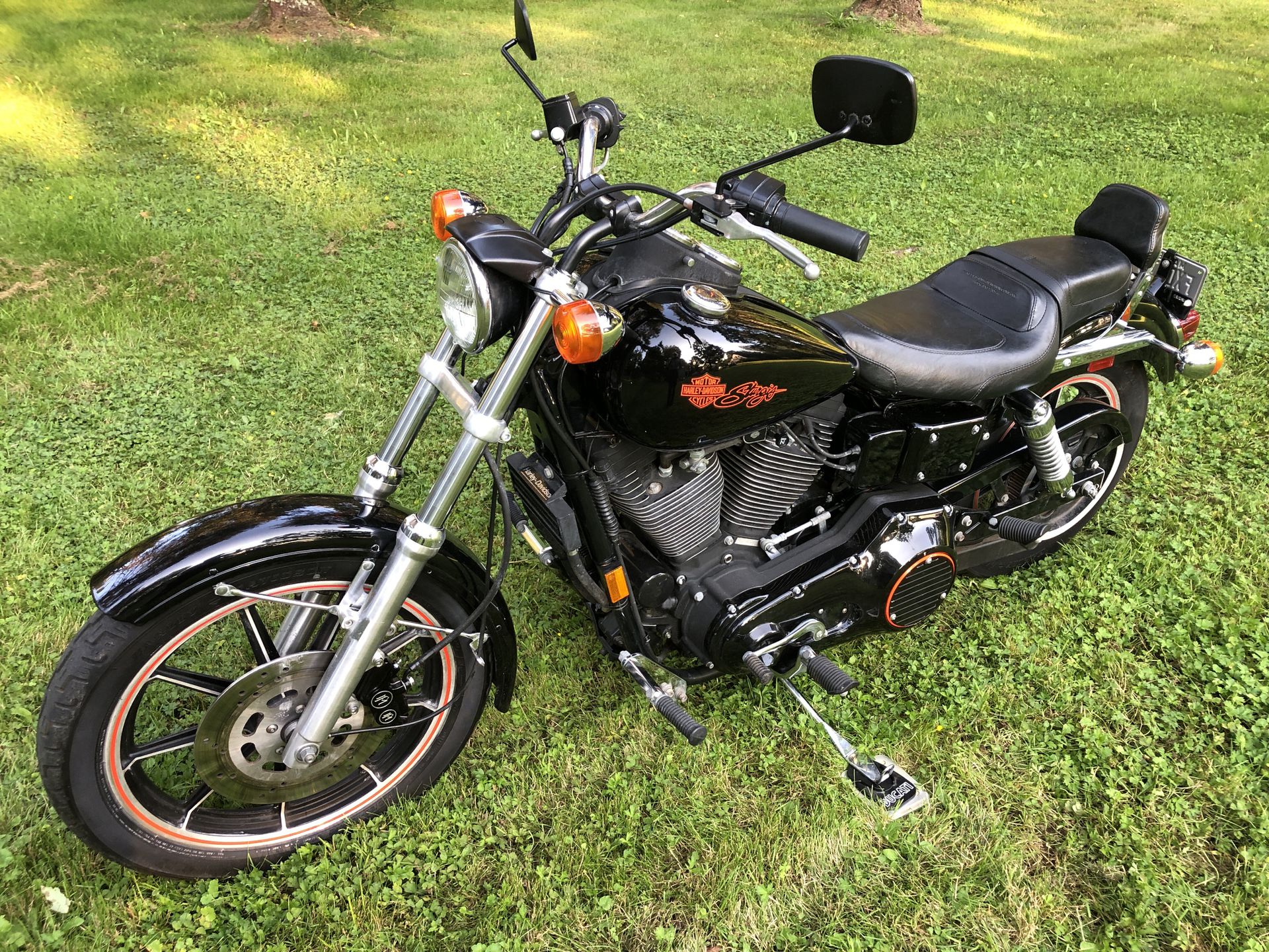 How to identify a rare 1982 Harley-Davidson Sturgis model?