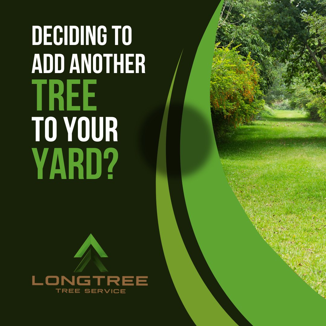Longtree Tree Service | Southfield MI