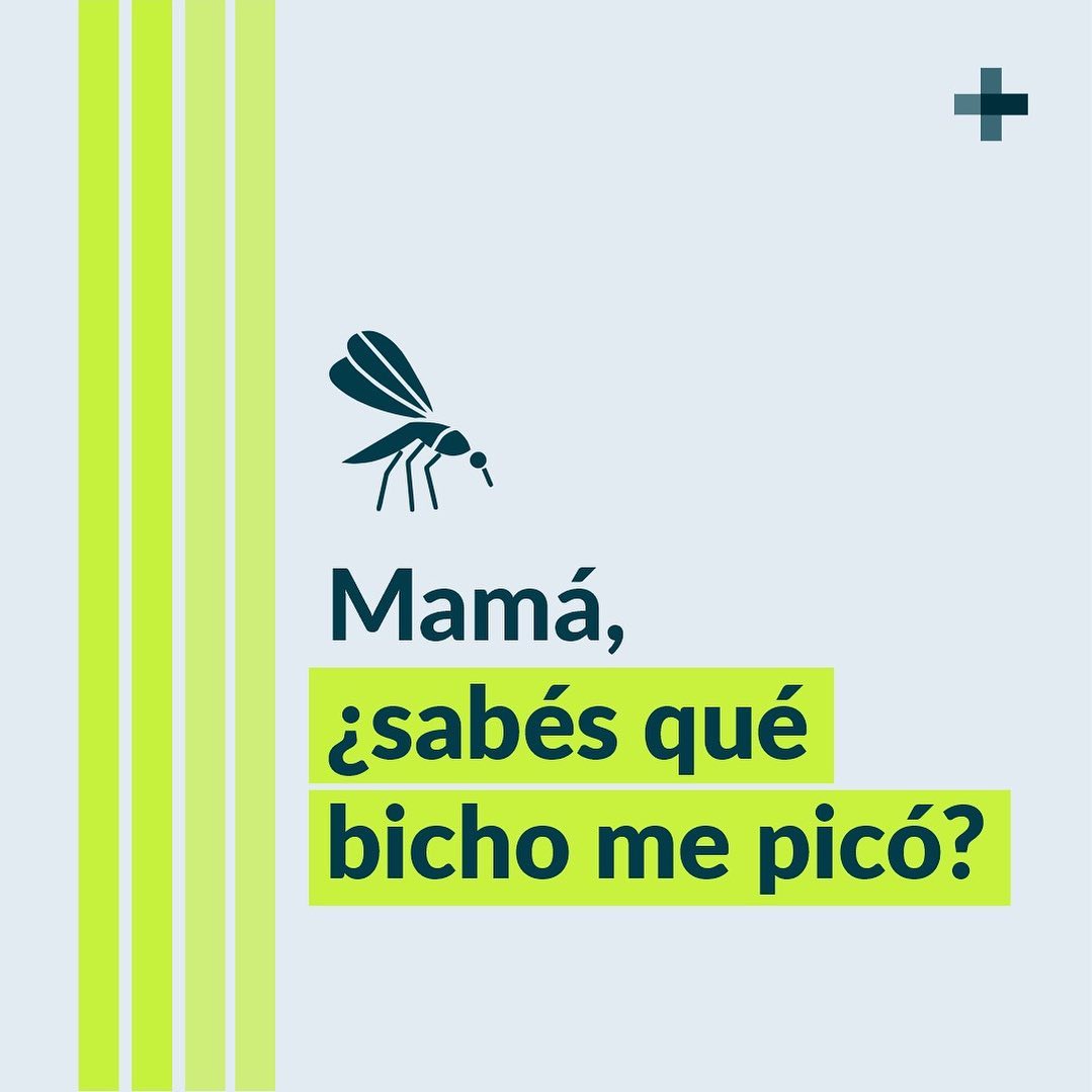 Te dejamos los síntomas y las... - Farmacia de la Plaza
