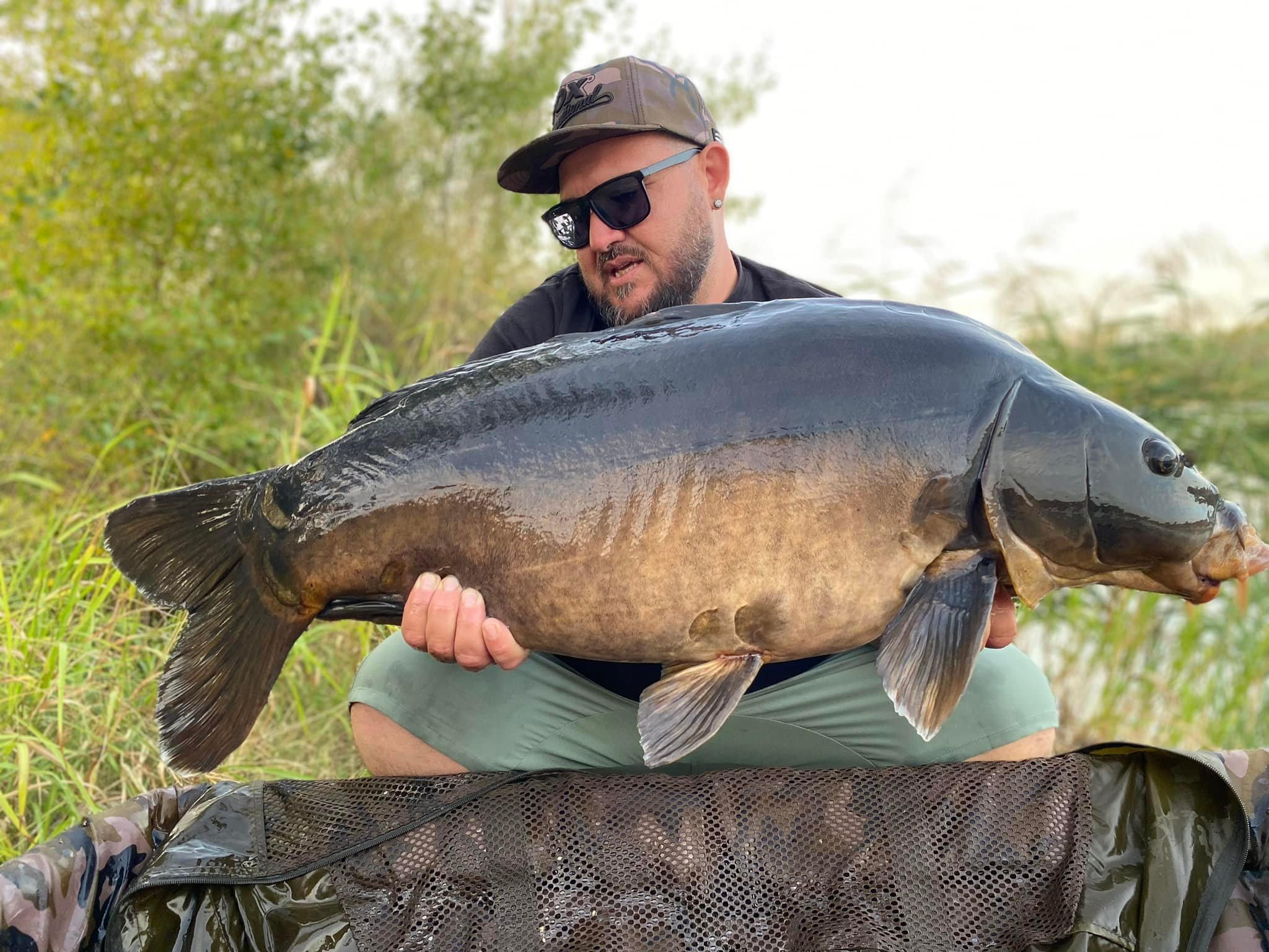 Ultimate Baits Carp Summer Pack – Pack Été Complet Pour Pêche à La Carpe (Bouillettes, Pellets, Pop-ups & Attractants)