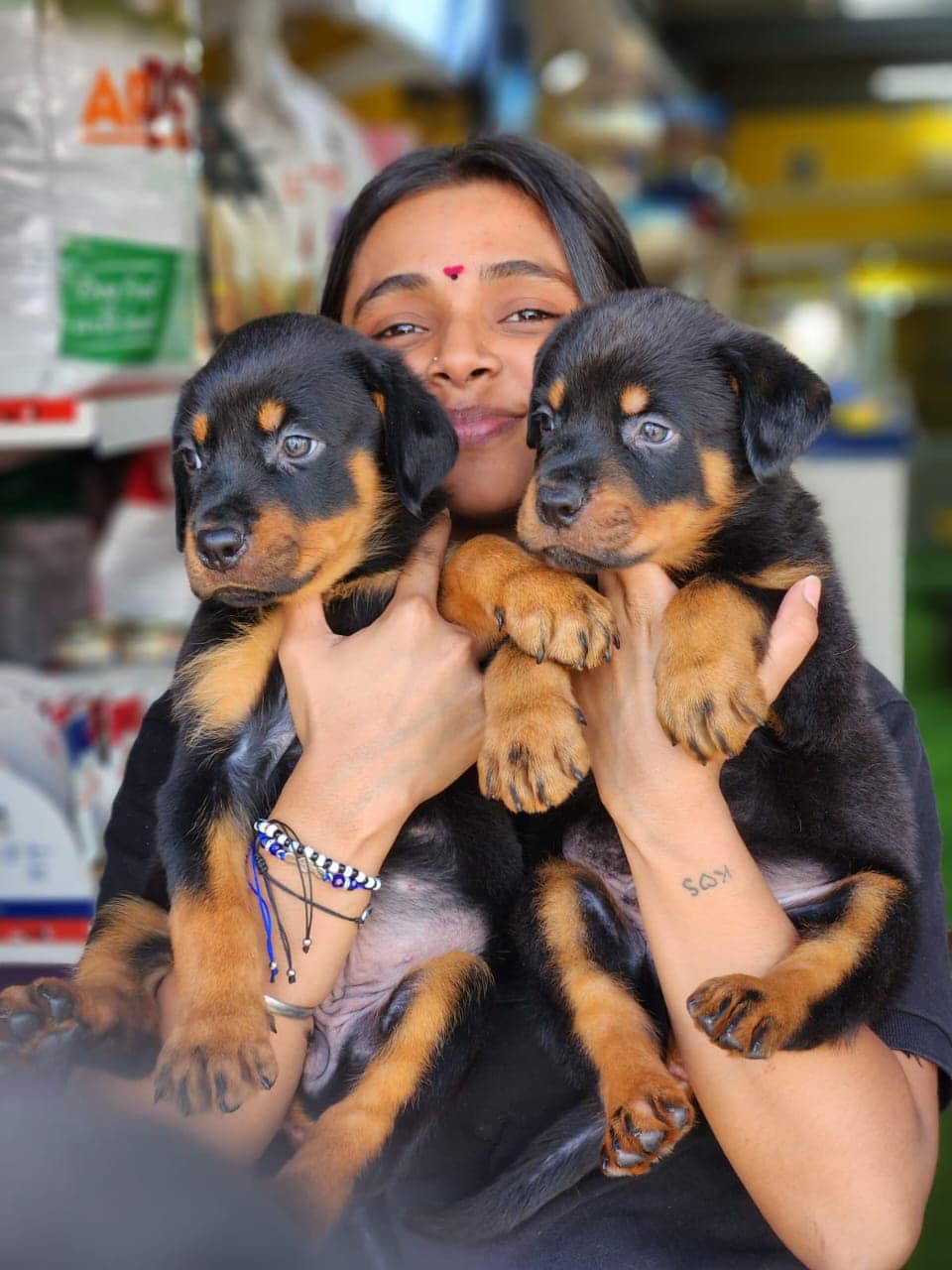 🐾 ️ Beautiful BB ROTTIES : Serbian... - Zoomania Mauritius