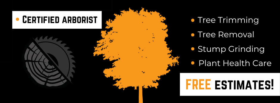 WITT 360 Tree Service | Seward NE