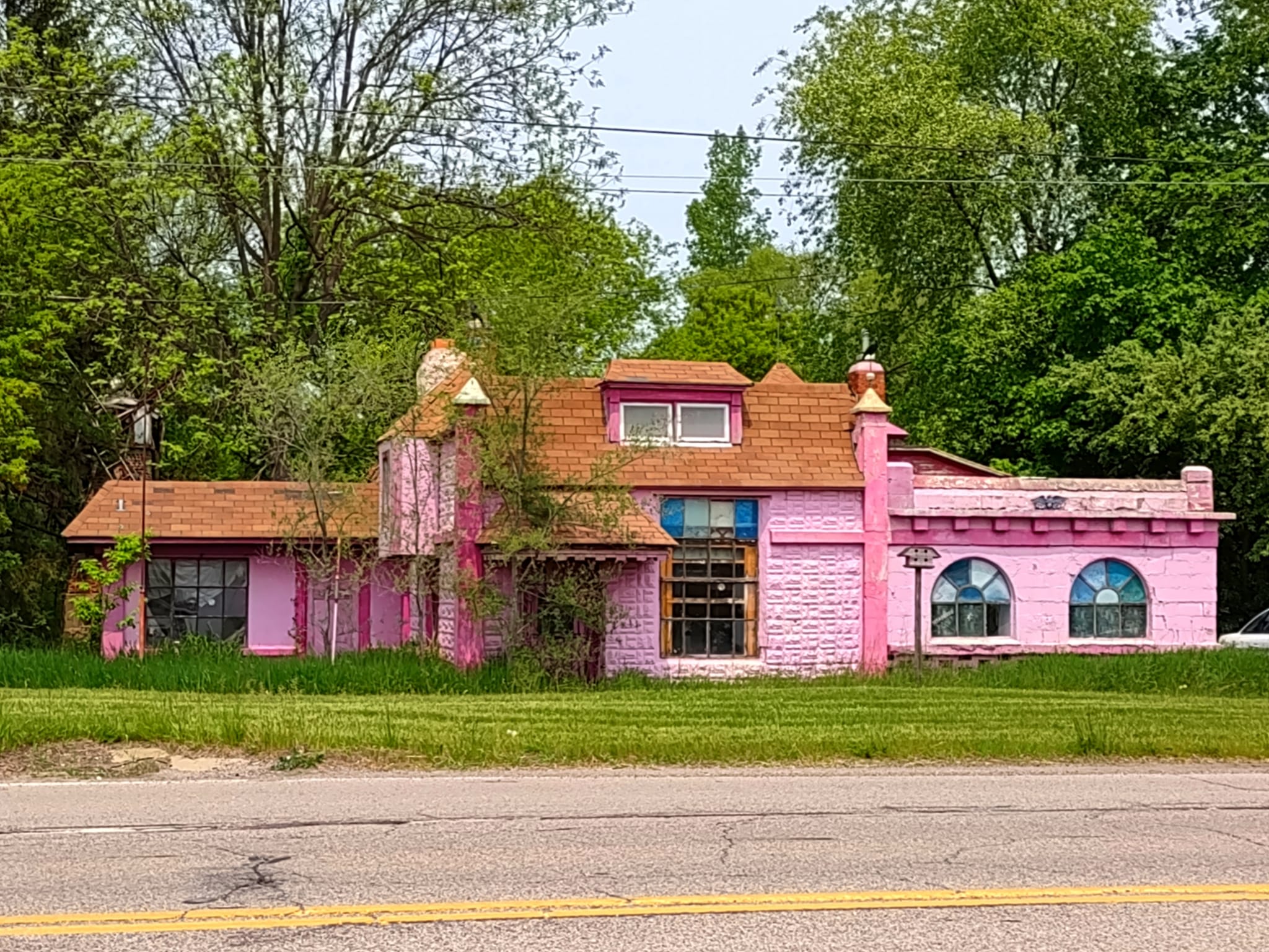 The story behind the pink 
