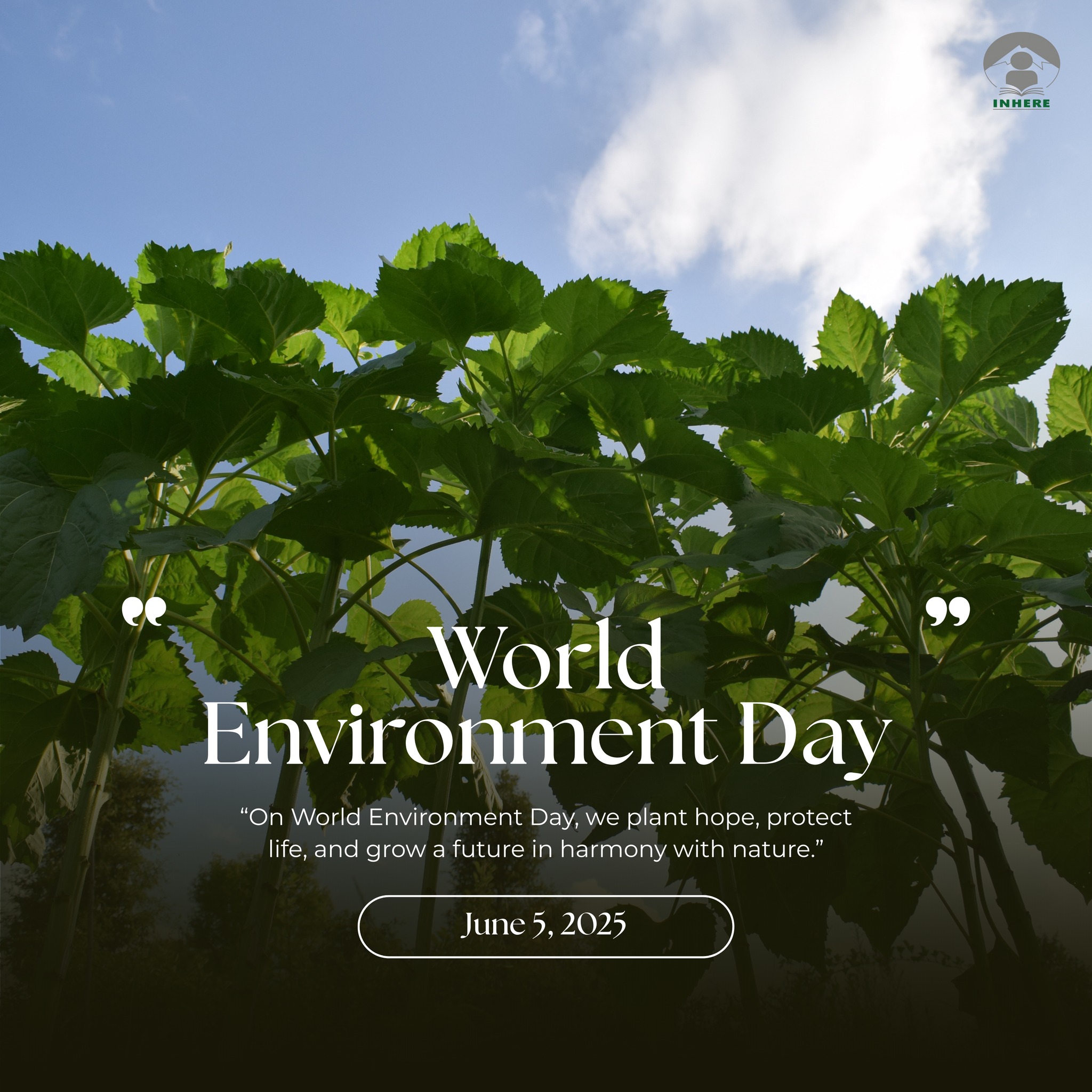 🌳 World Environment Day 2025 🌍 Today, we don’t just celebrate the ...