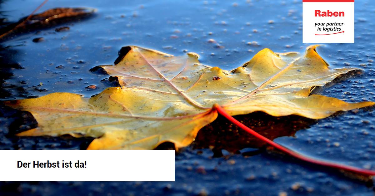 Im Herbst Werden Die Tage Kurzer Und Am Raben Group Germany