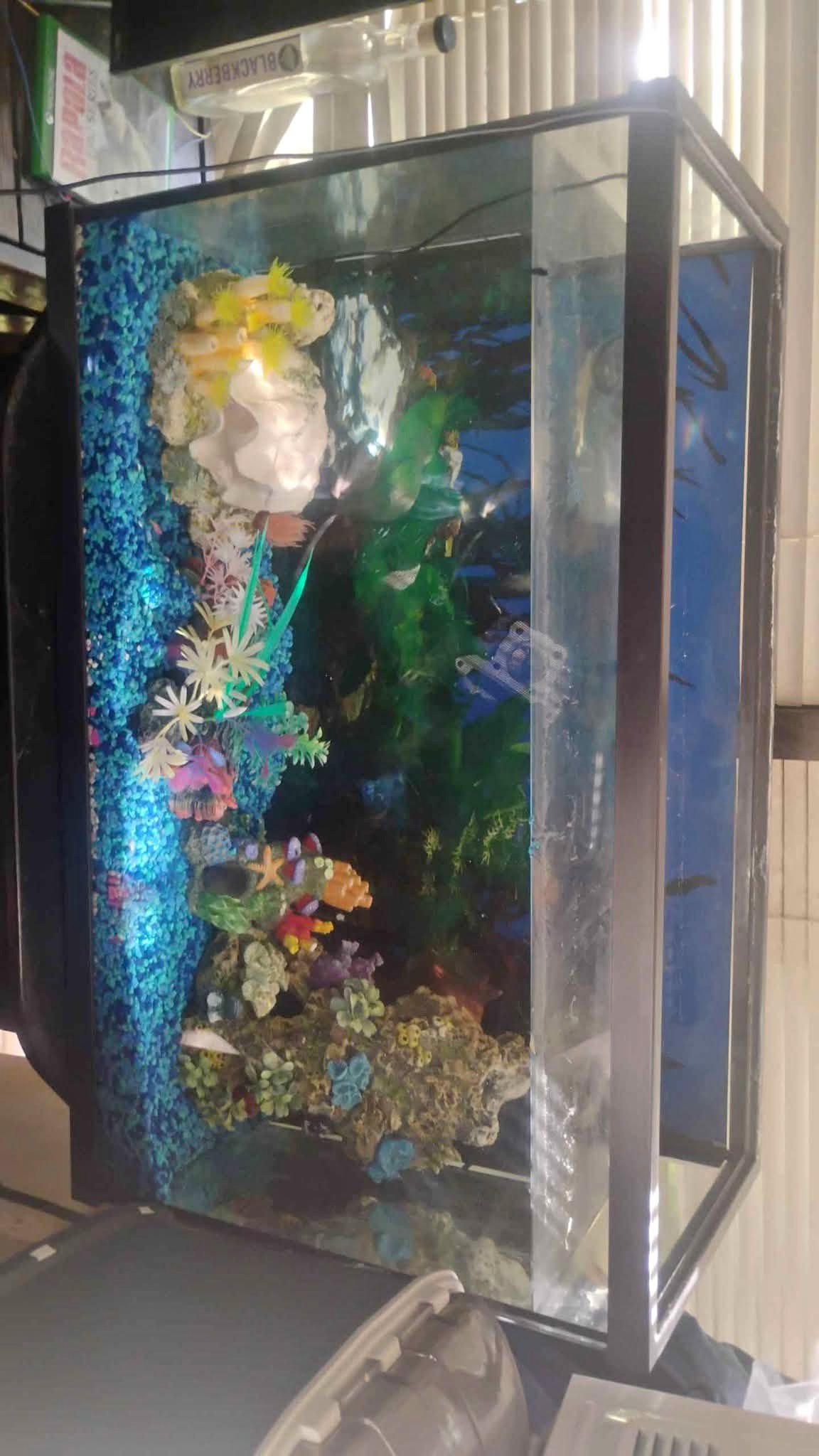 Fish Supplies for sale in Elizabethtown, Illinois | Facebook Marketplace