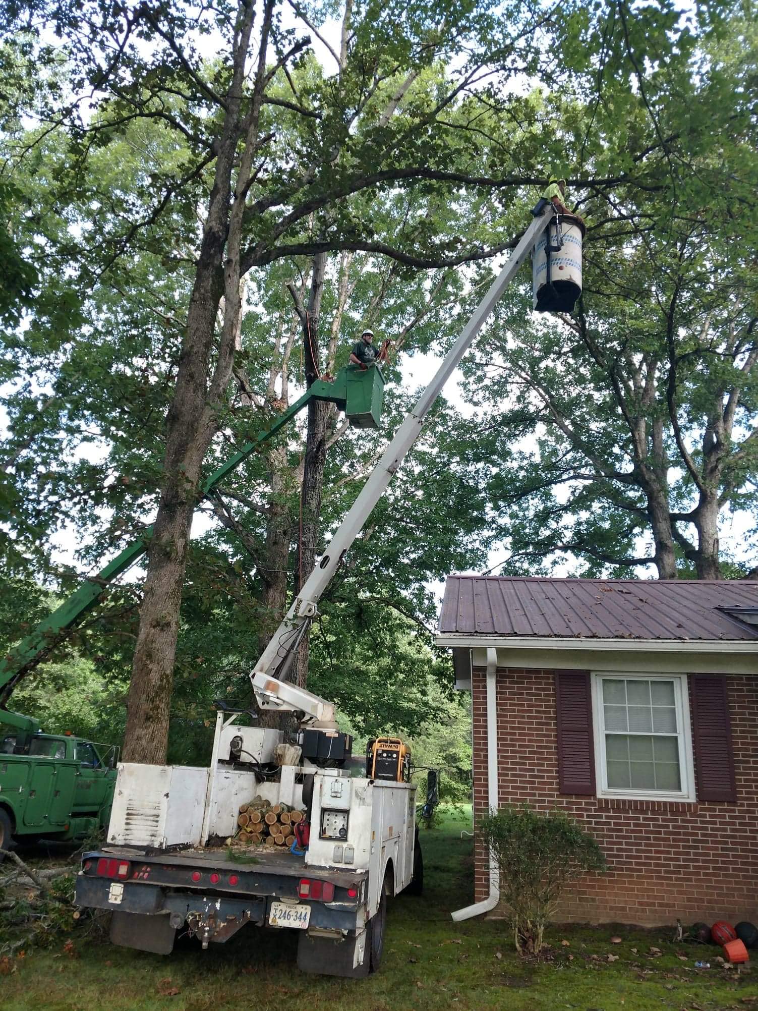Frazier's Tree Service | Farmville VA