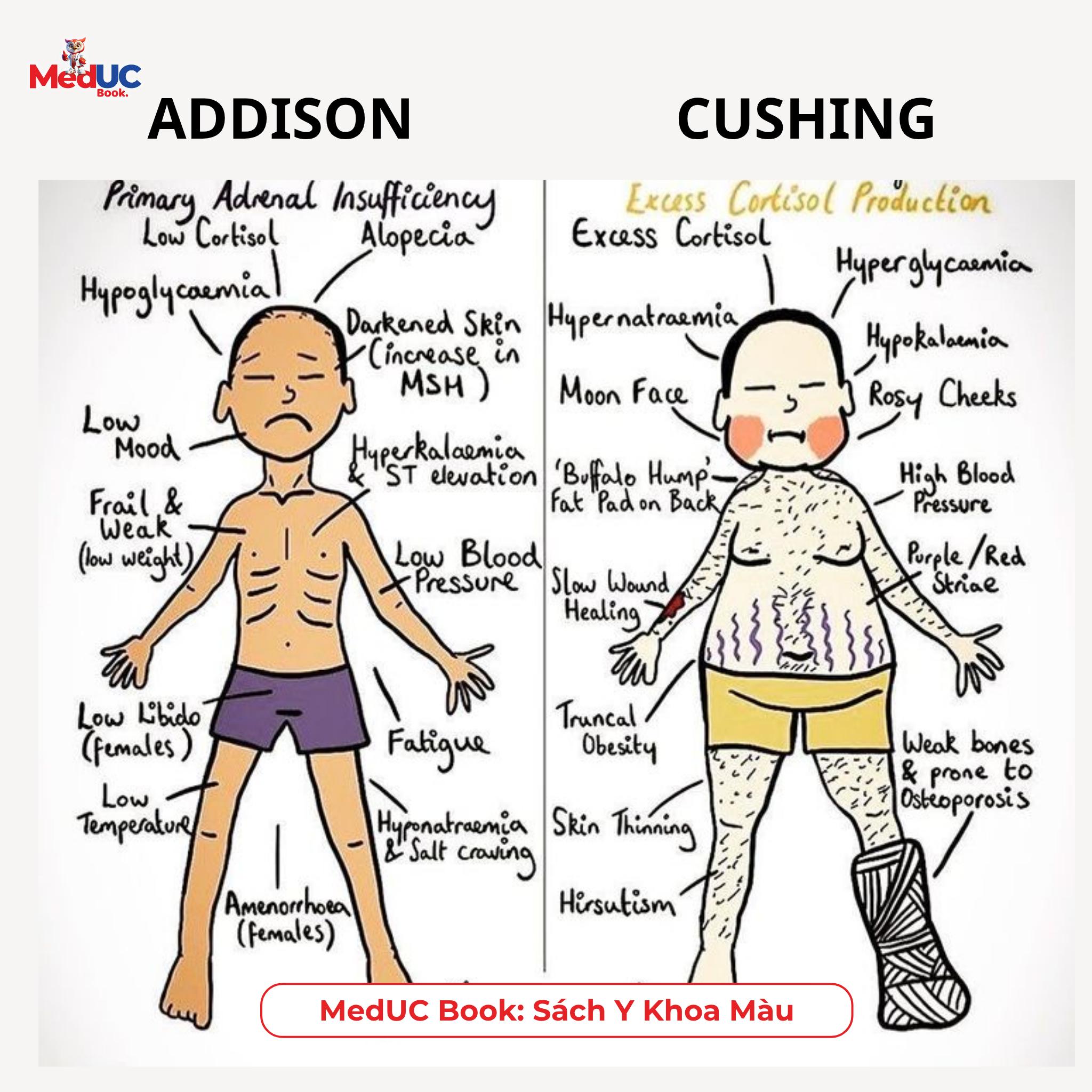 🔍 PHÂN BIỆT NHANH HỘI... - Nhà Sách Y Khoa: Meduc - Book | Facebook