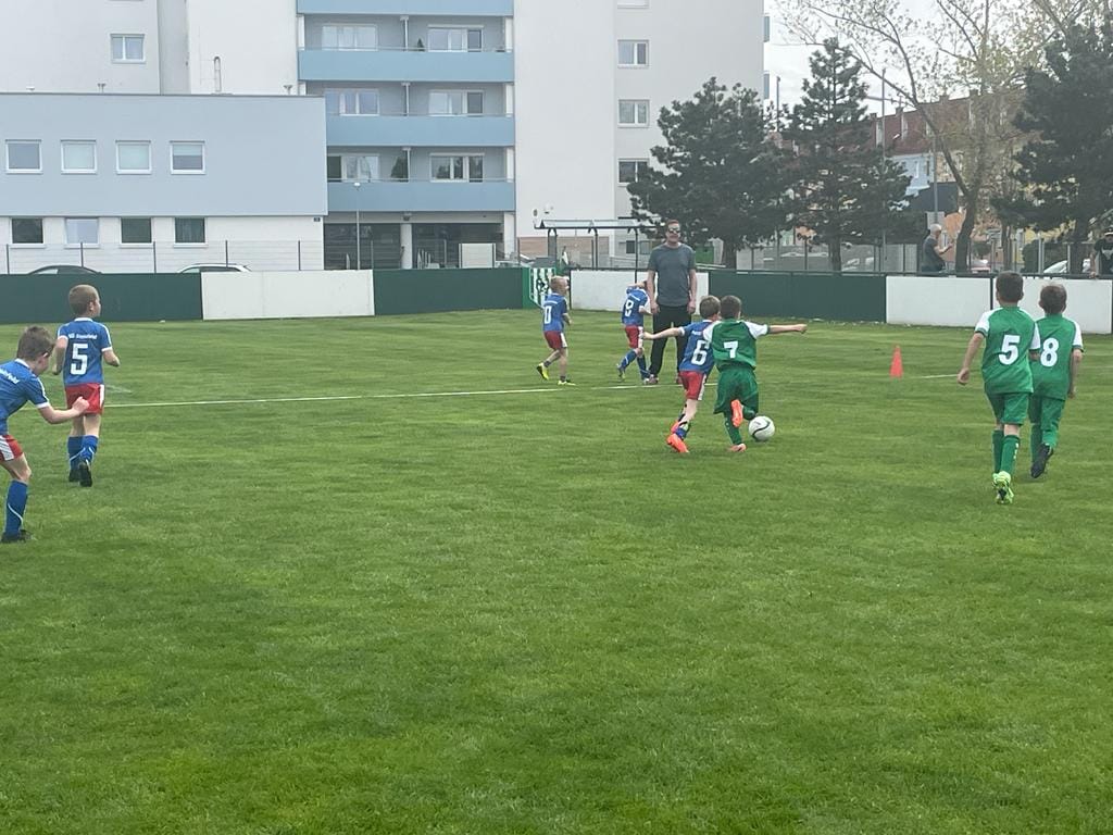 FV Club 83 Wiener Neustadt