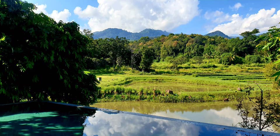 Anna Farm & Eatery Chiang... - Anna Farm & Eatery Chiang Mai