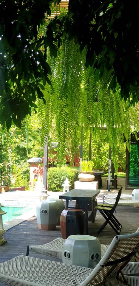 Anna Farm & Eatery Chiang... - Anna Farm & Eatery Chiang Mai