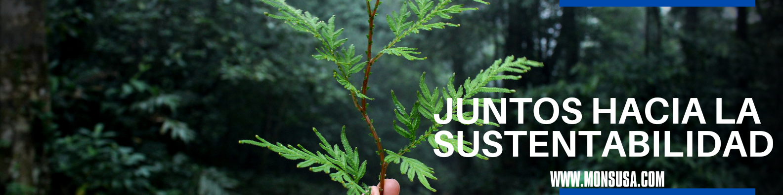 Vito Technologies on Reels