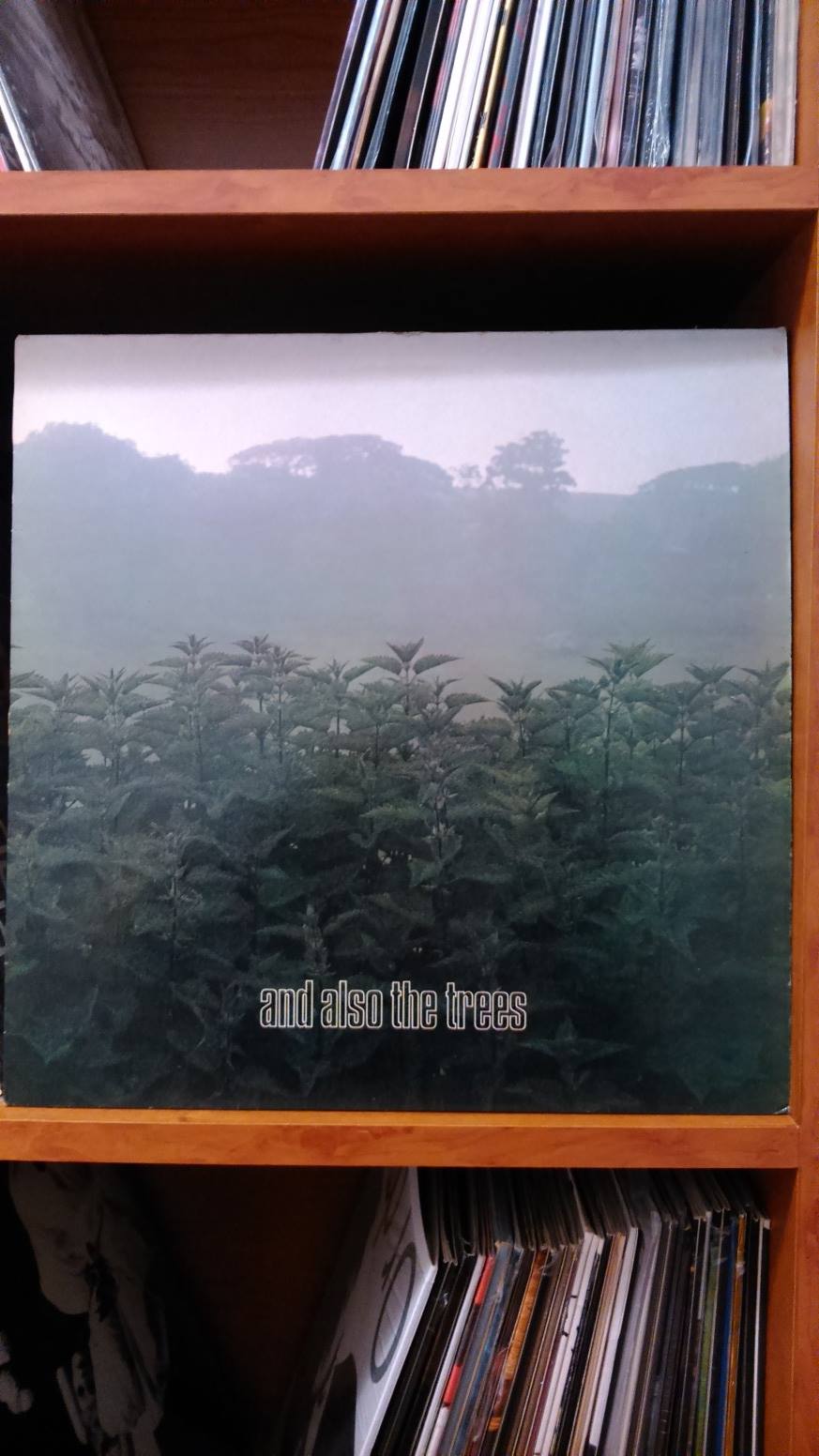 And Also The Trees - The Klaxon CD $120 Germany 1993