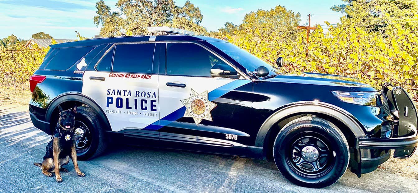 It’s Fur-baby Friday with K9 Rocco!... - Santa Rosa Police | Facebook