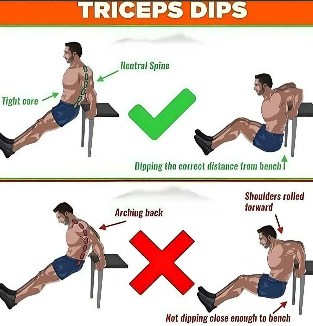 เทรนเนอร์ - ท่า Tricep Dips ท่าทางที่ถูกต้องและท่าทางที่ไม่ถูกต้อง ส่วน ...