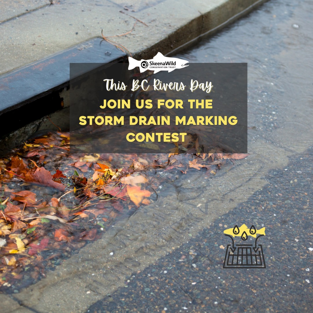 📣 This BC Rivers Day, join... - SkeenaWild Conservation Trust | Facebook